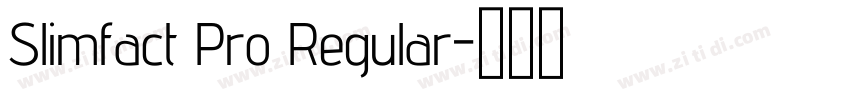 Slimfact Pro Regular字体转换 Slimfact Pro Regular字体转换